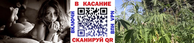 Экстази Чаплыгин