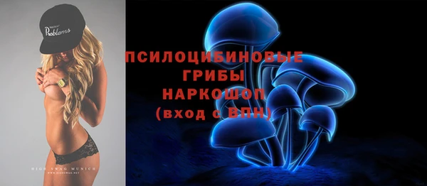 гидропоника Алзамай