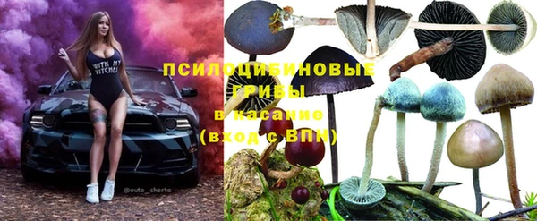 гидропоника Алзамай
