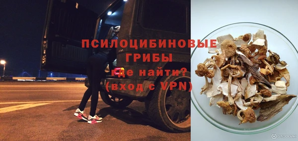 гидропоника Алзамай